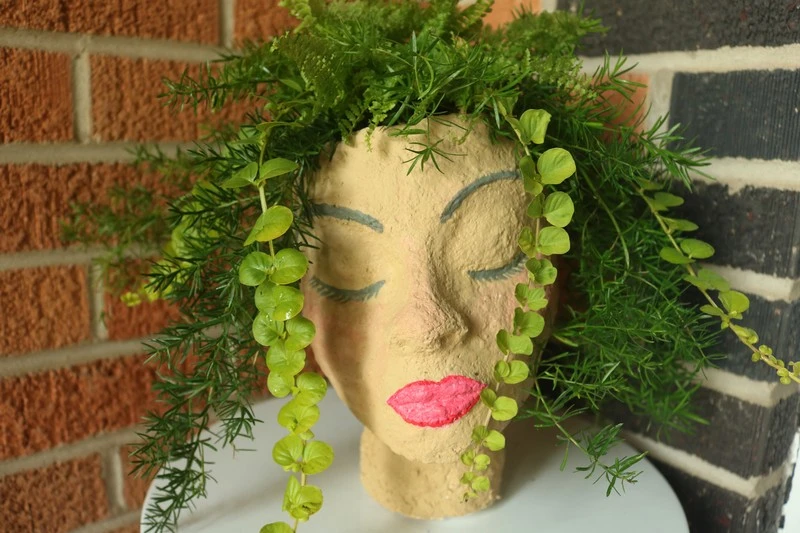 Lovely Indoor Head Planter